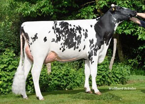 Breece - CASINO lánya